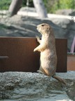 Bild_2013_0709_173358E